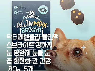 닥터페렌들리 올인맥스브라이트 강아지  관련 이미지
